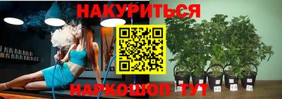 таблы Кингисепп