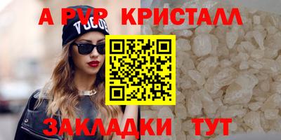 таблы Кингисепп
