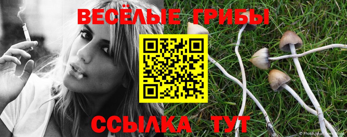 Красногорск  Галлюциногенные грибы ЛСД  Вход с VPN  Галлюциногенные грибы Cubensis 